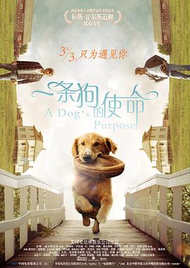 麻豆视频在线播放